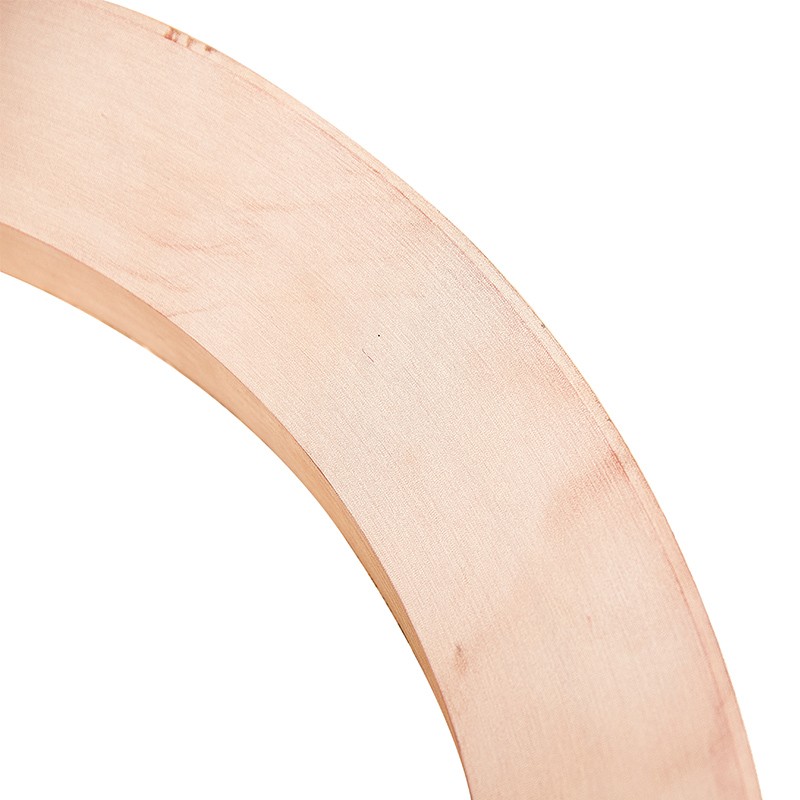 dust seal ring detail